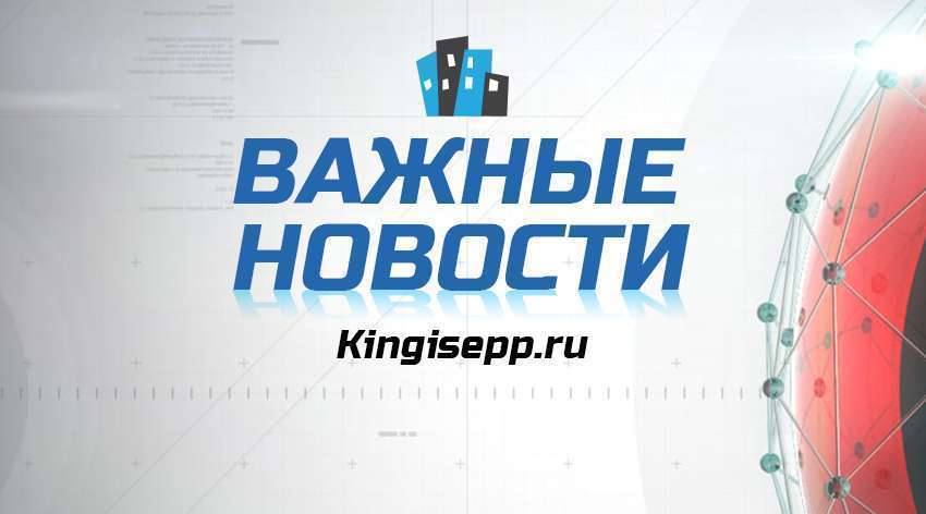 ВАЖНЫЕ новости Кингисеппского района 08.06.2022 - Kingisepp.ru – Новости, публикации Кингисеппа